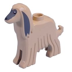 Dog, Afghan Hound  (5189pb01)