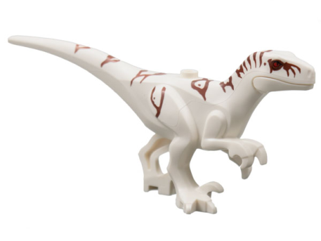 Dinosaur Atrociraptor with Reddish Brown Markings (Atrocira02)